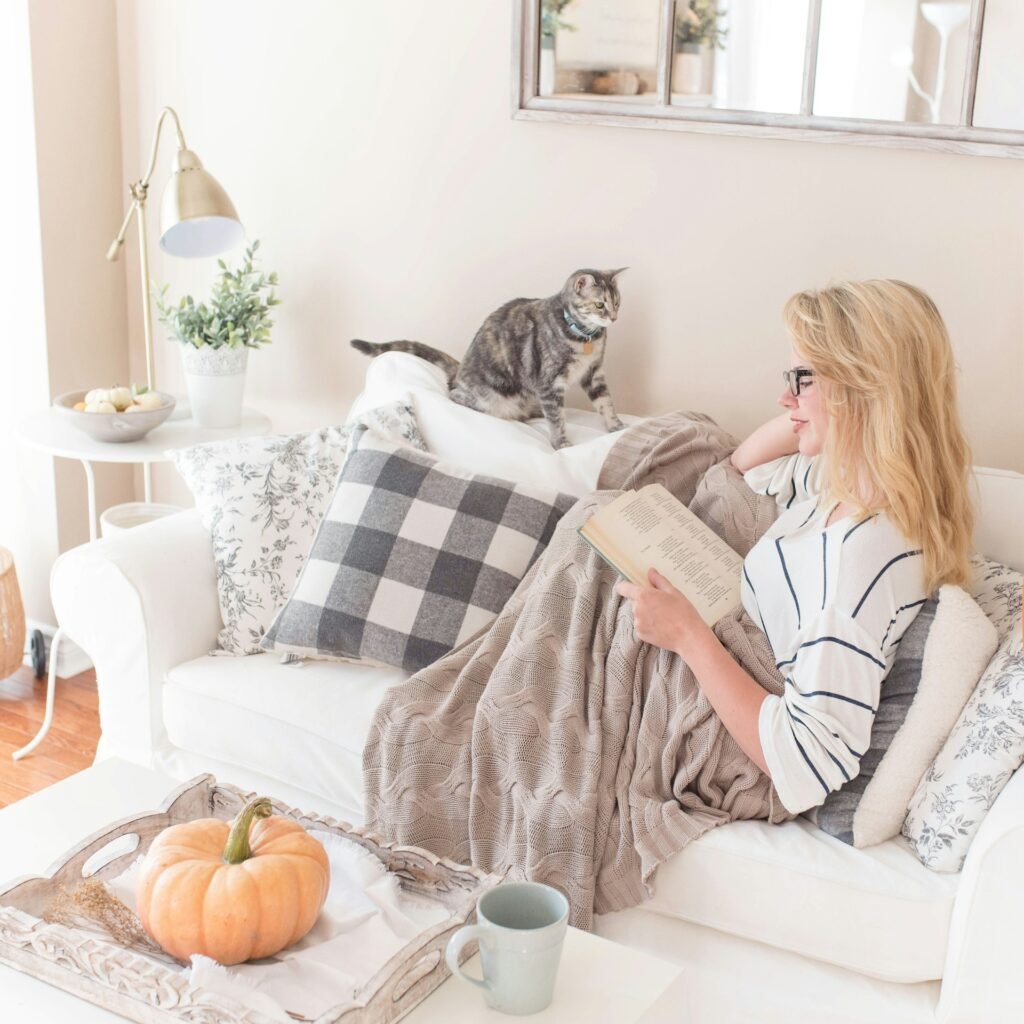 Conviértete en casa de acogida, y dale una segunda oportunidad a un gatete. Foto de Paige Cody en Unsplash.