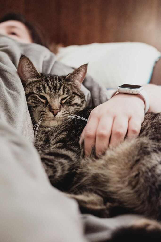 Gatito durmiendo junto a su dueña. Foto de Chris Abney en Unsplash.