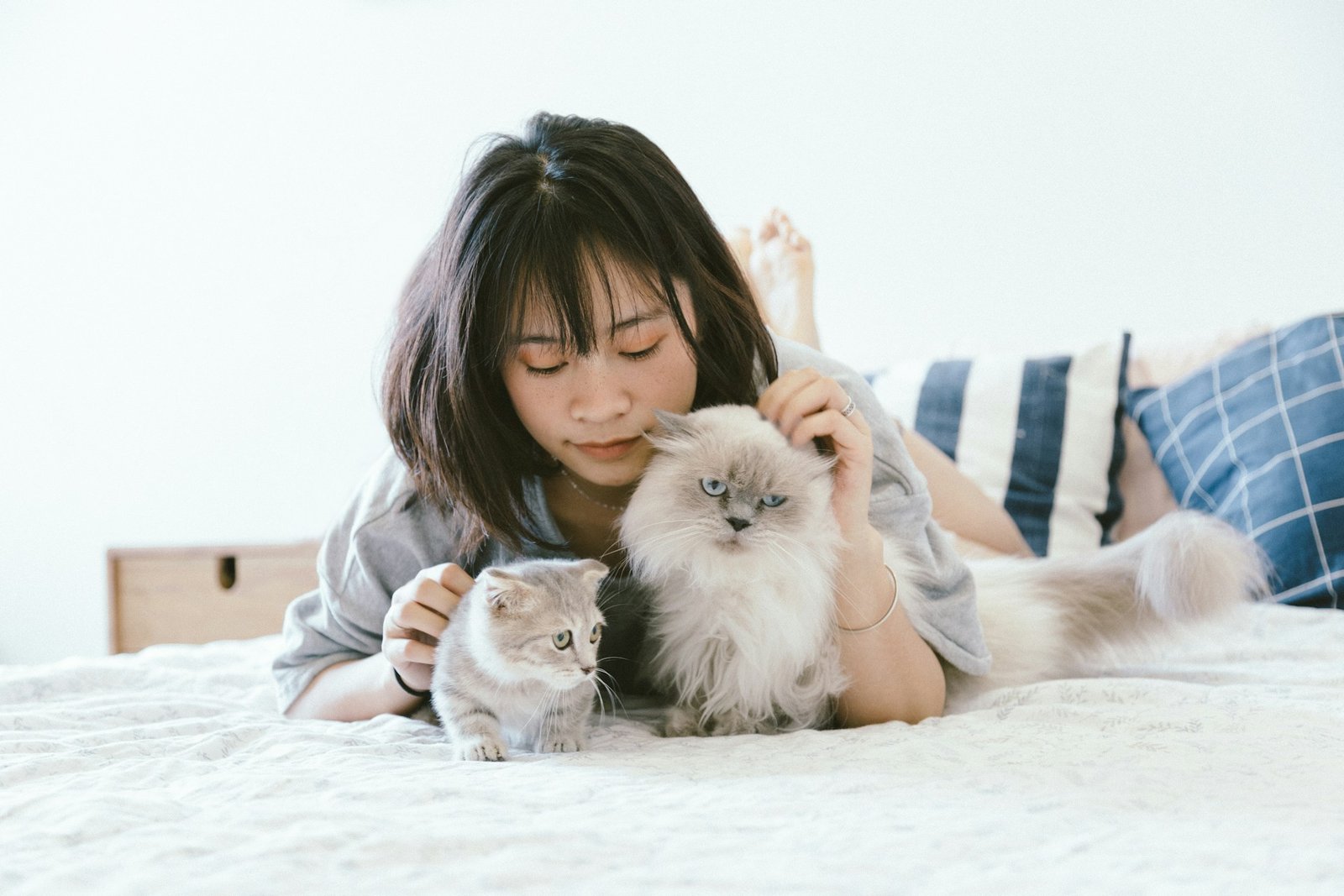 Hermosos gatitos con su dueño. Foto de Tran Mau Tri Tam en Unsplash.