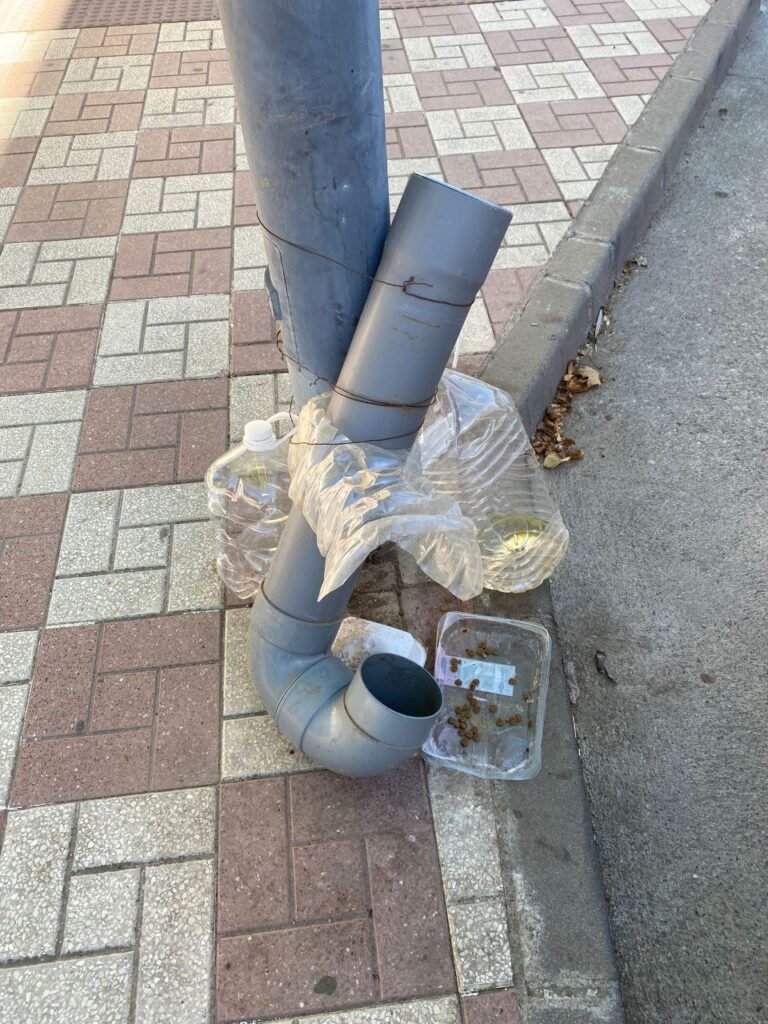 Comedero desarmado, y con comida robada por gente mala y sin escrúpulos desde un punto de alimentación.